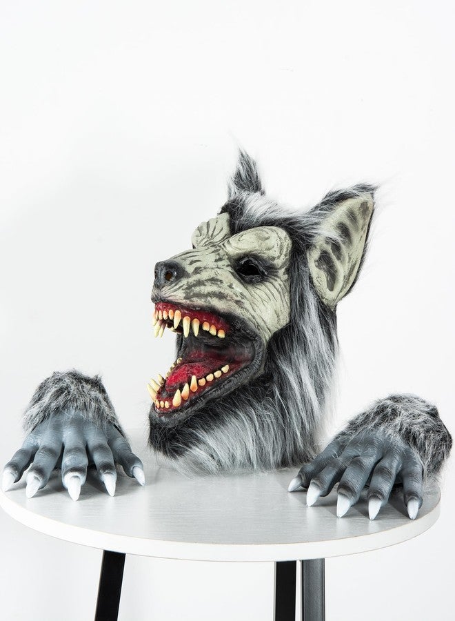 SUNREEK Halloween Horror Wolf Mask with Claws, Party Cosplay Costume Werewolf Mask, Scary Wolf Head Mask for Halloween Costumes (Wolf) - Image 3